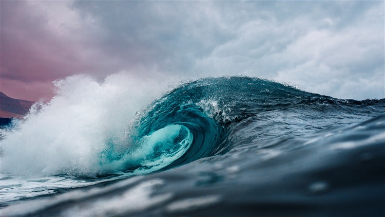 Physics - Fluid Dynamics - College and AP Physics course image from Udemy.