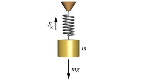 Physics - Periodic Motion - High School and AP Physics course image from Udemy.