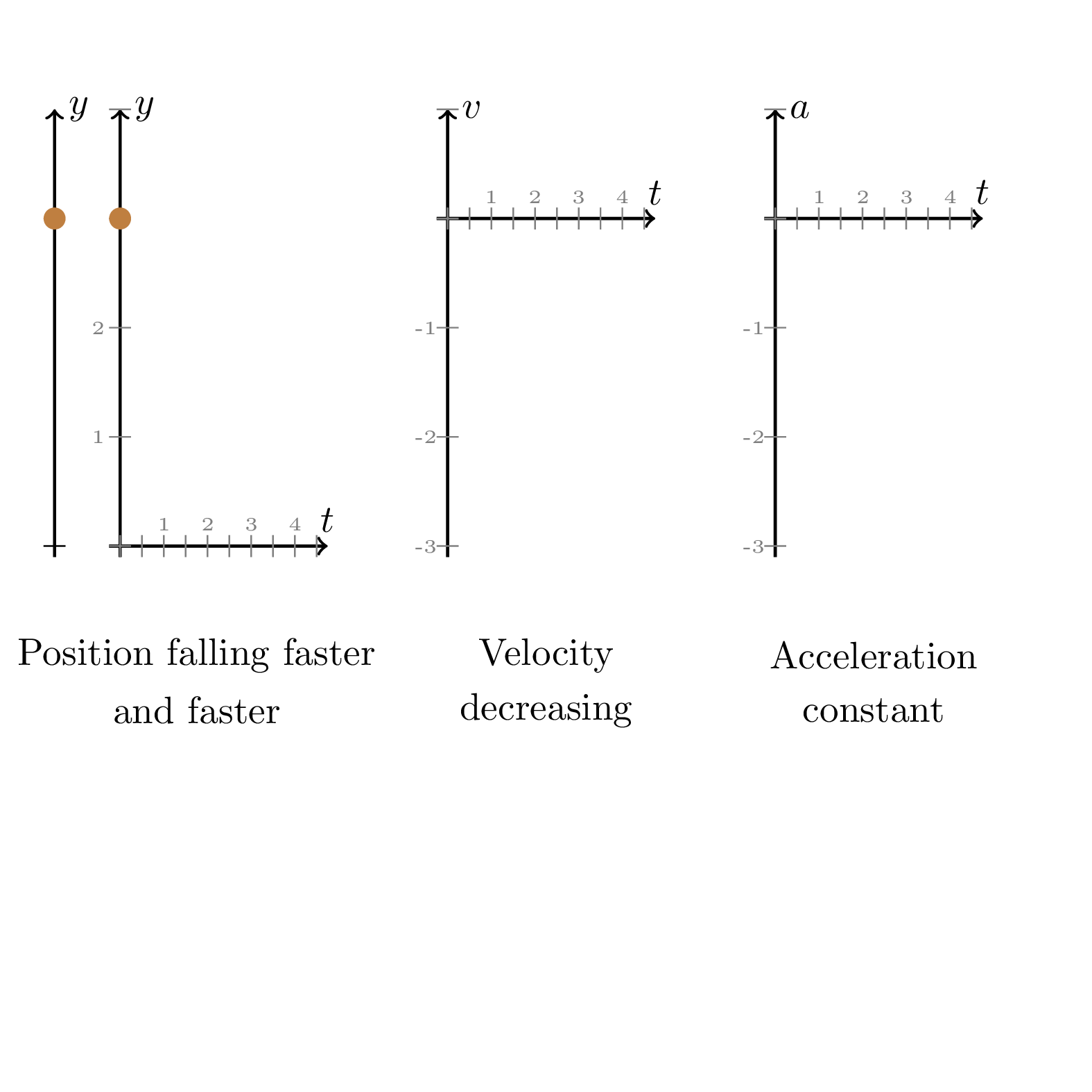 Animated position, velocity, and acceleration graphs for an object in free fall.