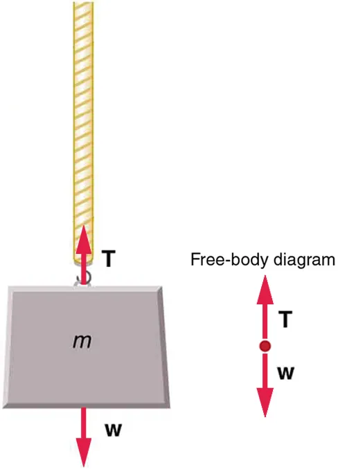 A mass hangs from a vertical cord beside its free-body diagram. The diagram has an upward arrow labeled tension and an equal-length downward arrow labeled weight.