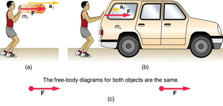 The same person pushes a basketball and a car with equal rightward forces. The basketball has smaller mass and larger acceleration; the car has larger mass and smaller acceleration. Matching free-body diagrams show the same applied force.